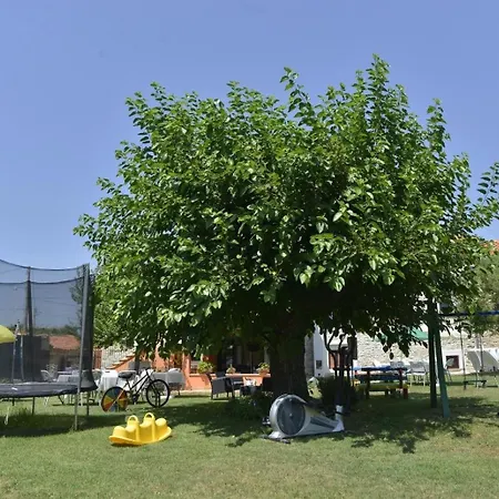 Mit Privatpool Fuer 9 Personen Ca 110 Qm In Vodnjan, Istrien Istrische Riviera * Vodnjan